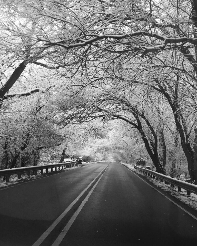 winter, road, black and white-2741215.jpg